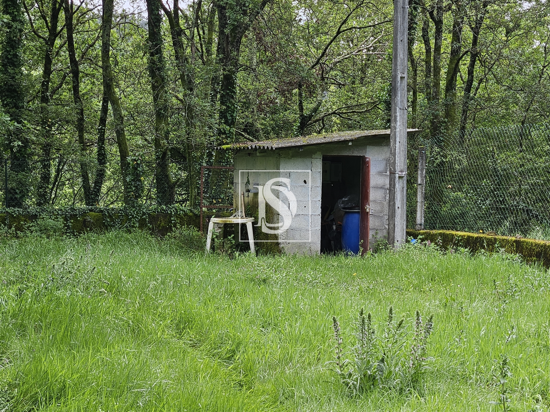 Terreno